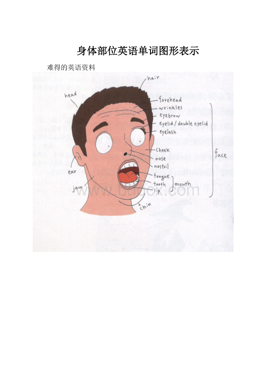 身体部位英语单词图形表示.docx_第1页