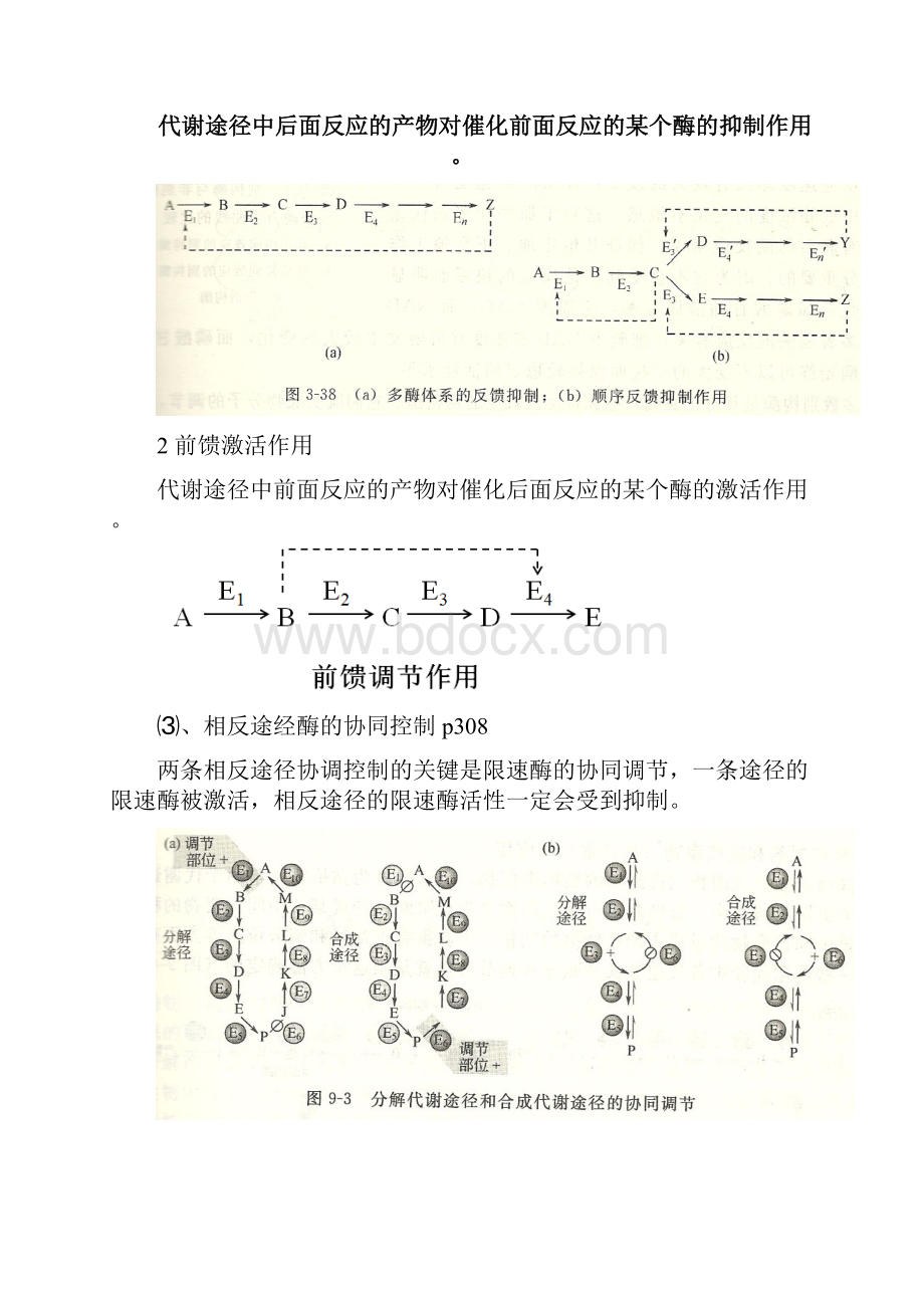 第五章代谢总论与生物能学.docx_第3页