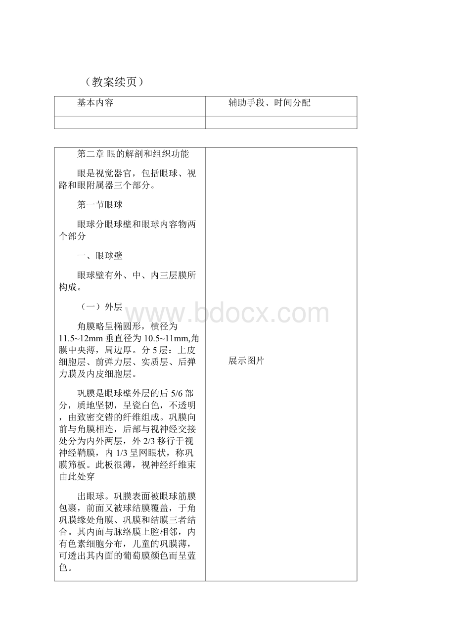 眼解剖组织学汇总.docx_第2页