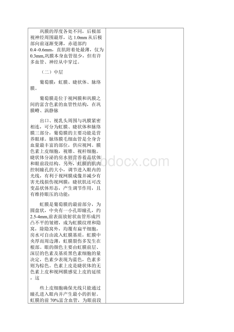 眼解剖组织学汇总.docx_第3页