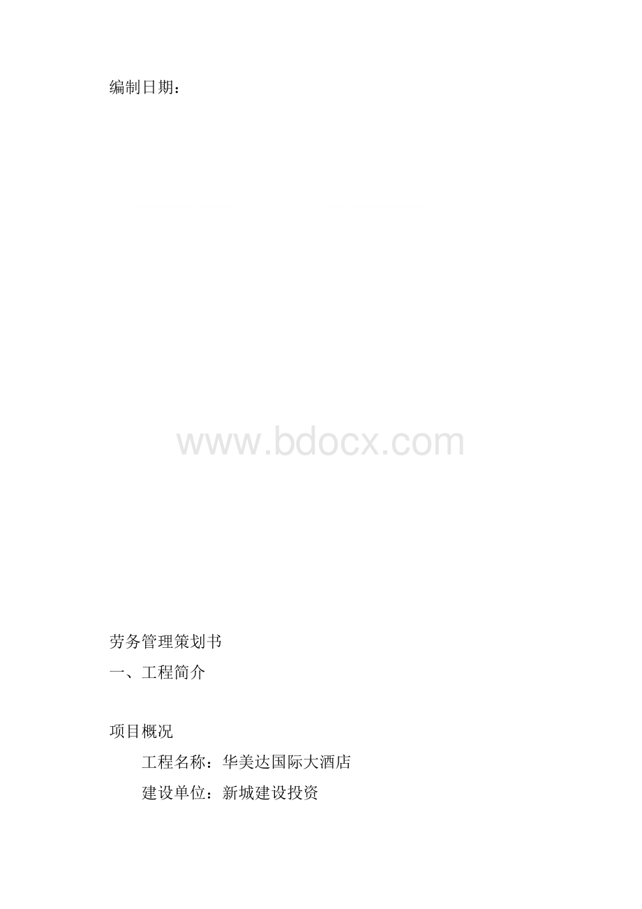 项目劳务项目策划书.docx_第2页