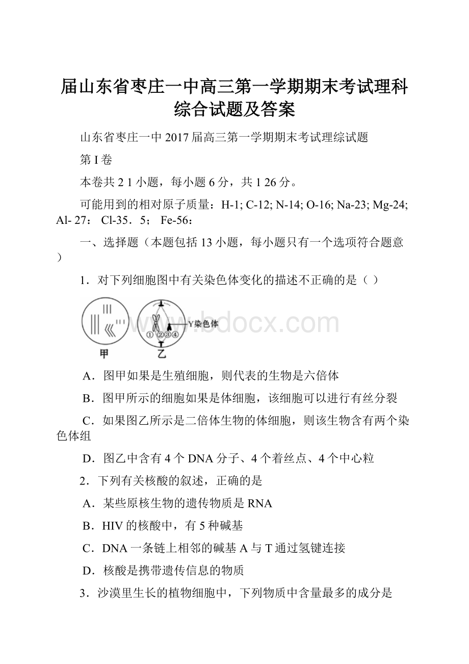 届山东省枣庄一中高三第一学期期末考试理科综合试题及答案.docx