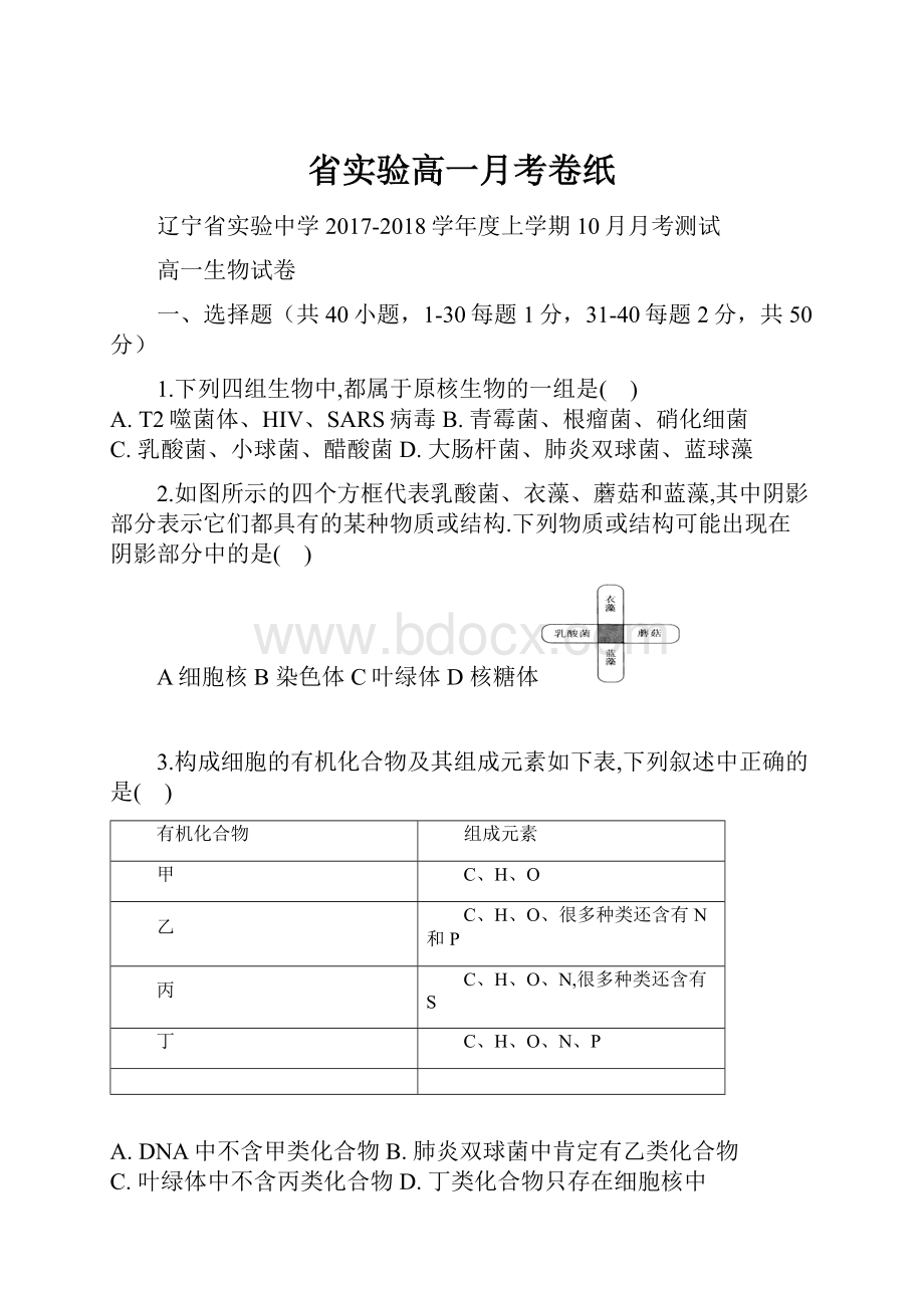 省实验高一月考卷纸.docx