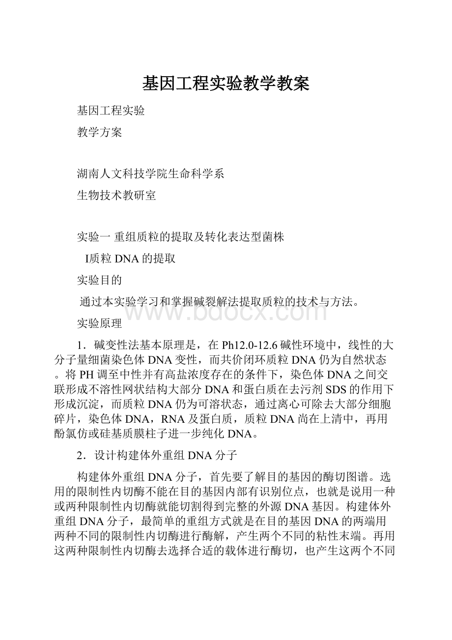 基因工程实验教学教案.docx