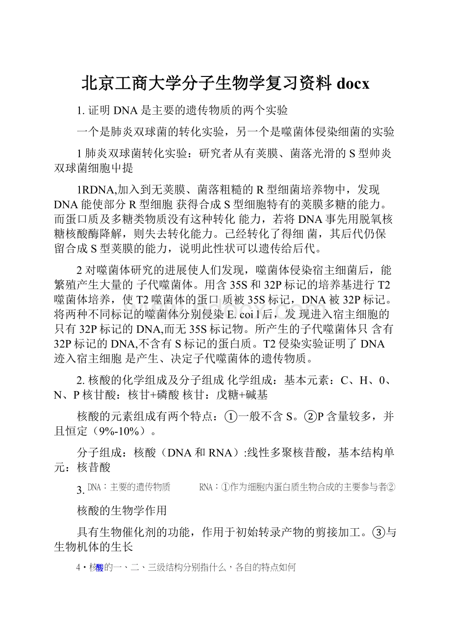 北京工商大学分子生物学复习资料docx.docx