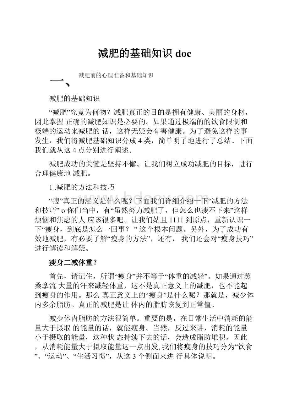 减肥的基础知识doc.docx