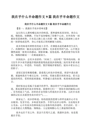 我在乎什么半命题作文9篇 我在乎半命题作文.docx