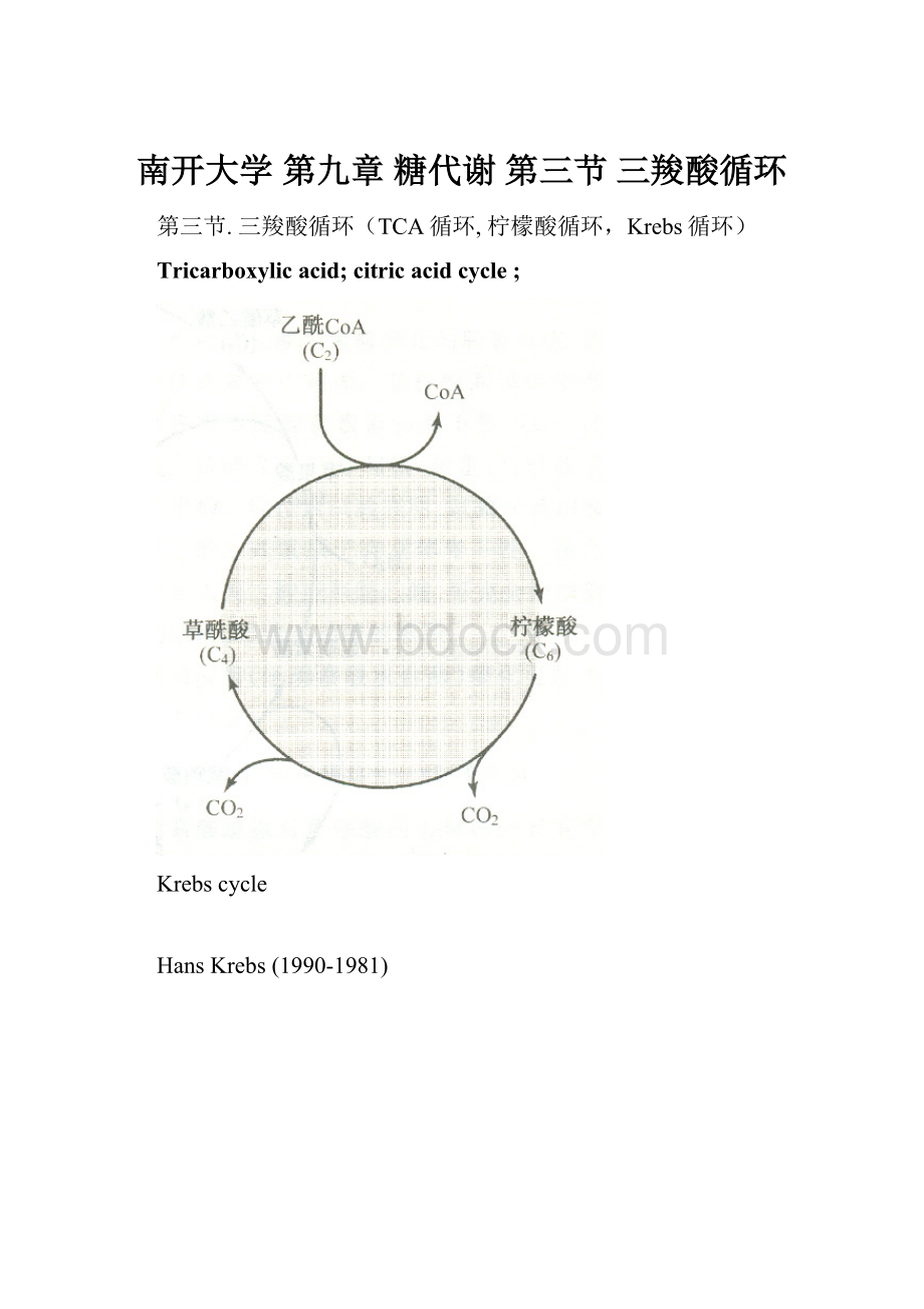 南开大学 第九章 糖代谢 第三节 三羧酸循环.docx