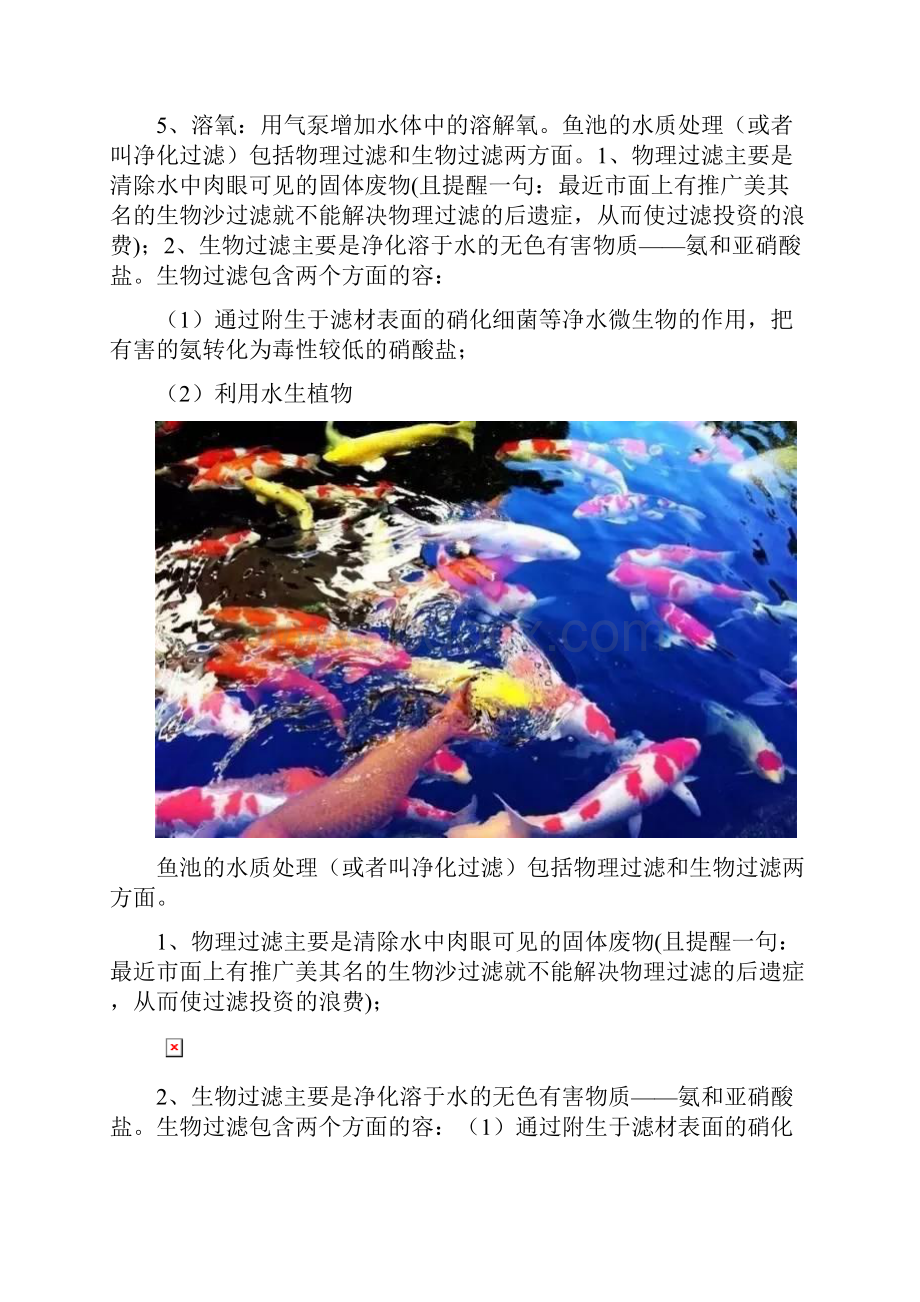 锦鲤鱼池水质处理的标准要求.docx_第3页