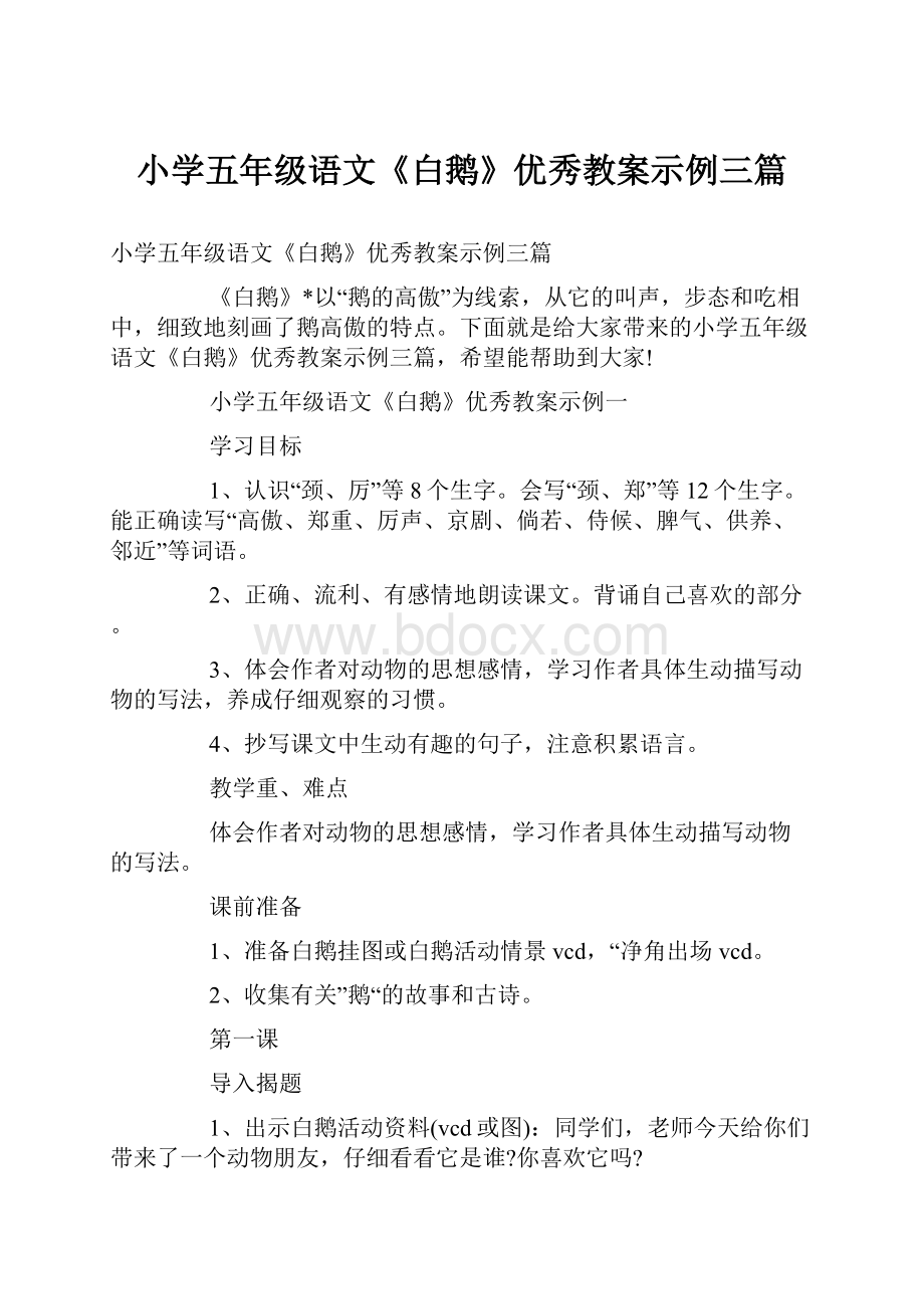 小学五年级语文《白鹅》优秀教案示例三篇.docx_第1页