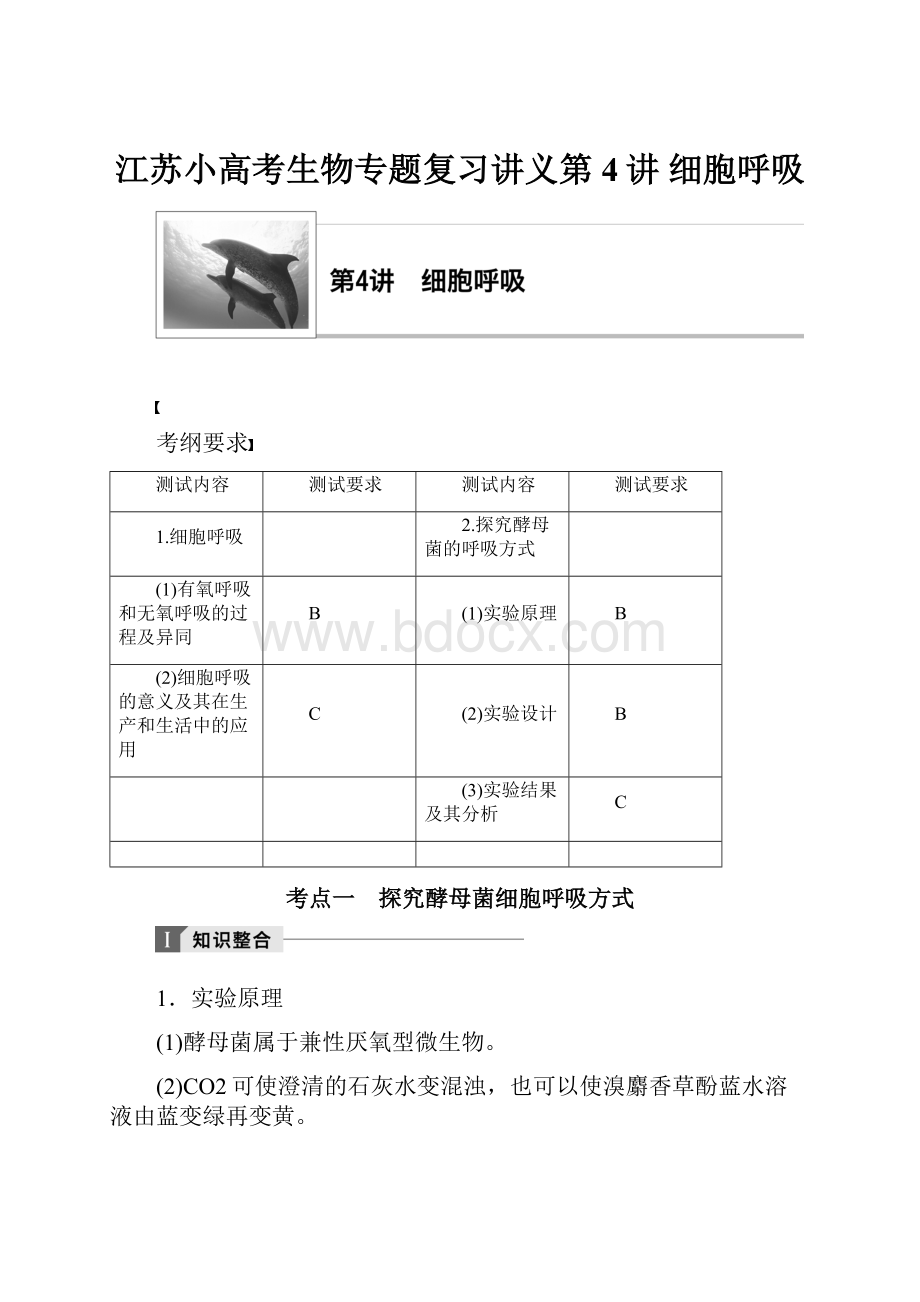 江苏小高考生物专题复习讲义第4讲 细胞呼吸.docx