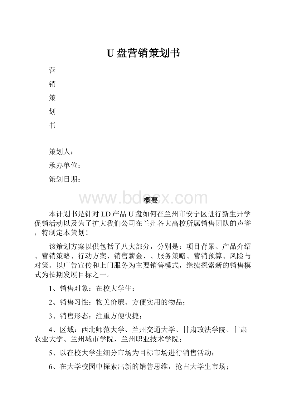 U盘营销策划书.docx