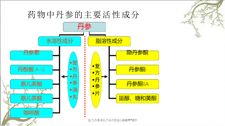 活页夹1.pptx