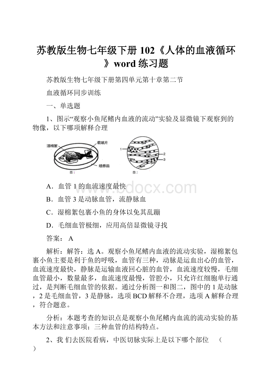 苏教版生物七年级下册102《人体的血液循环》word练习题.docx