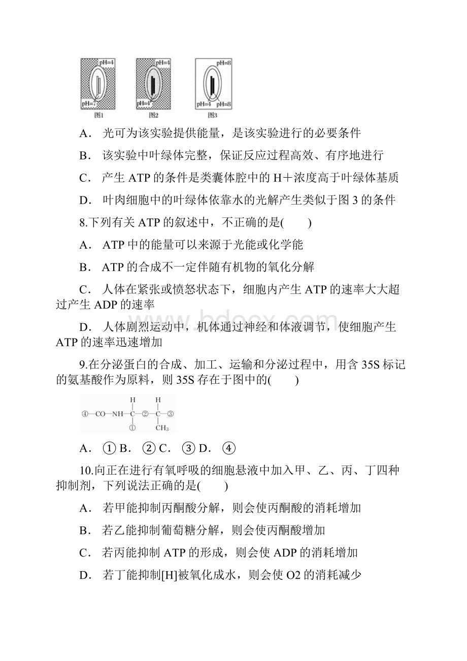 云南省普洱市景东一中学年上学期期末考试 高一生物.docx_第3页