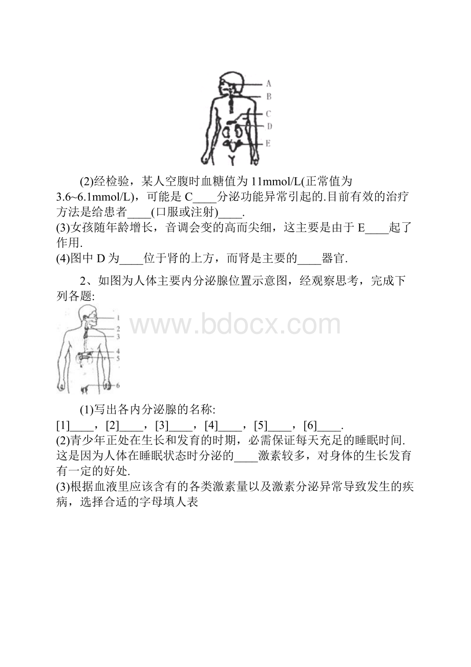 八年级科学上册 第三章《生命活动的调节》测试题 浙教版.docx_第3页