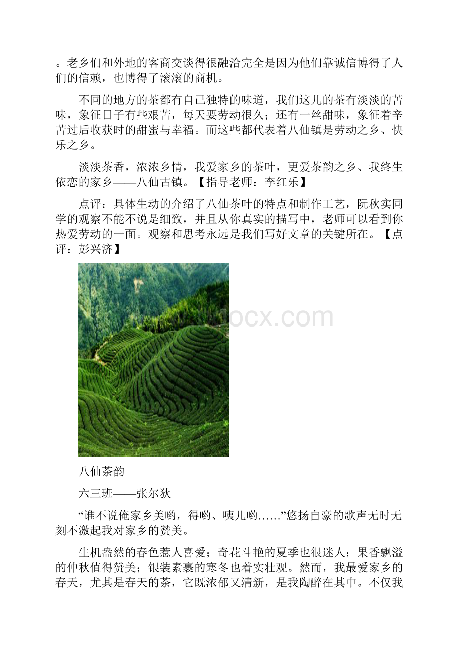 可爱的家乡2.docx_第2页