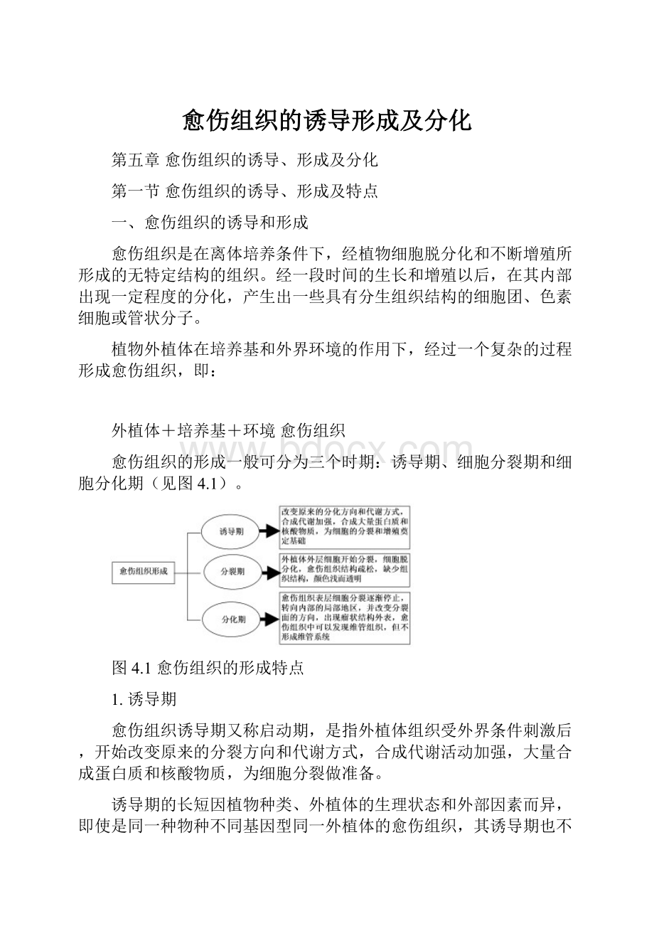 愈伤组织的诱导形成及分化.docx