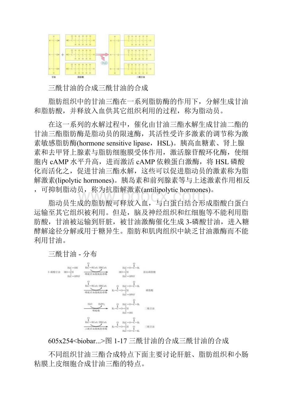 整理三酰甘油.docx_第3页