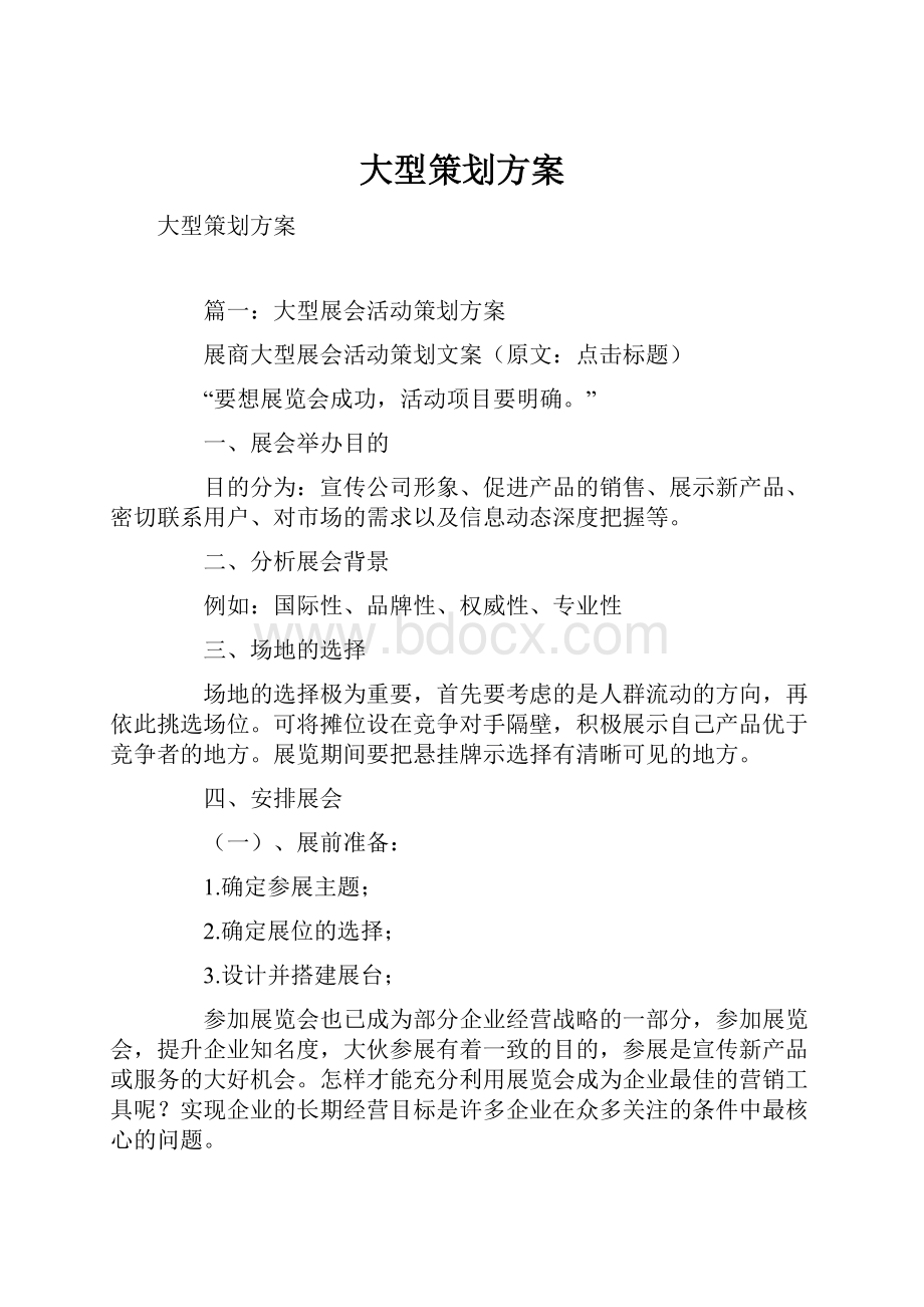 大型策划方案.docx