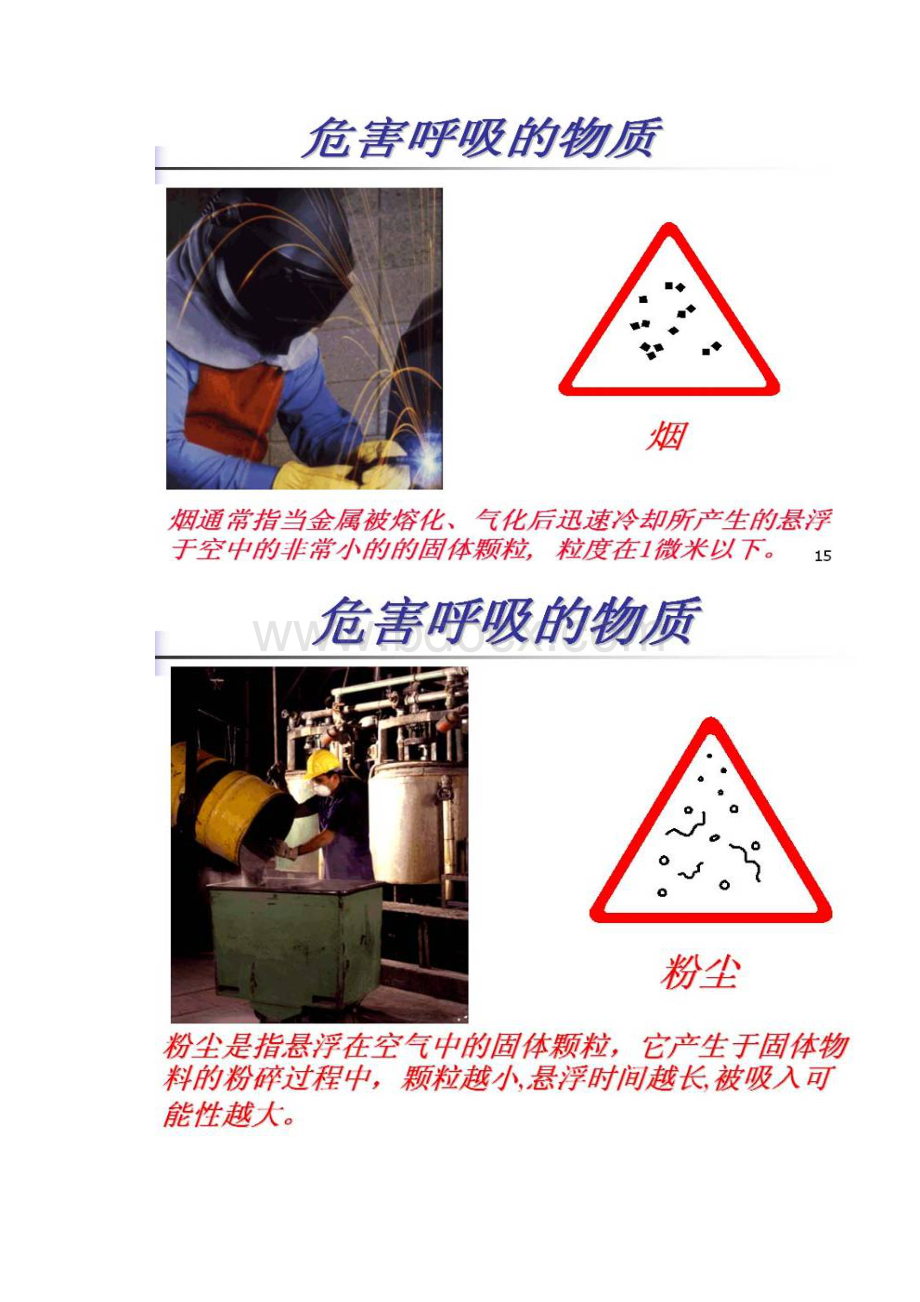 职业健康知识及劳保用品使用知识培训.docx_第3页