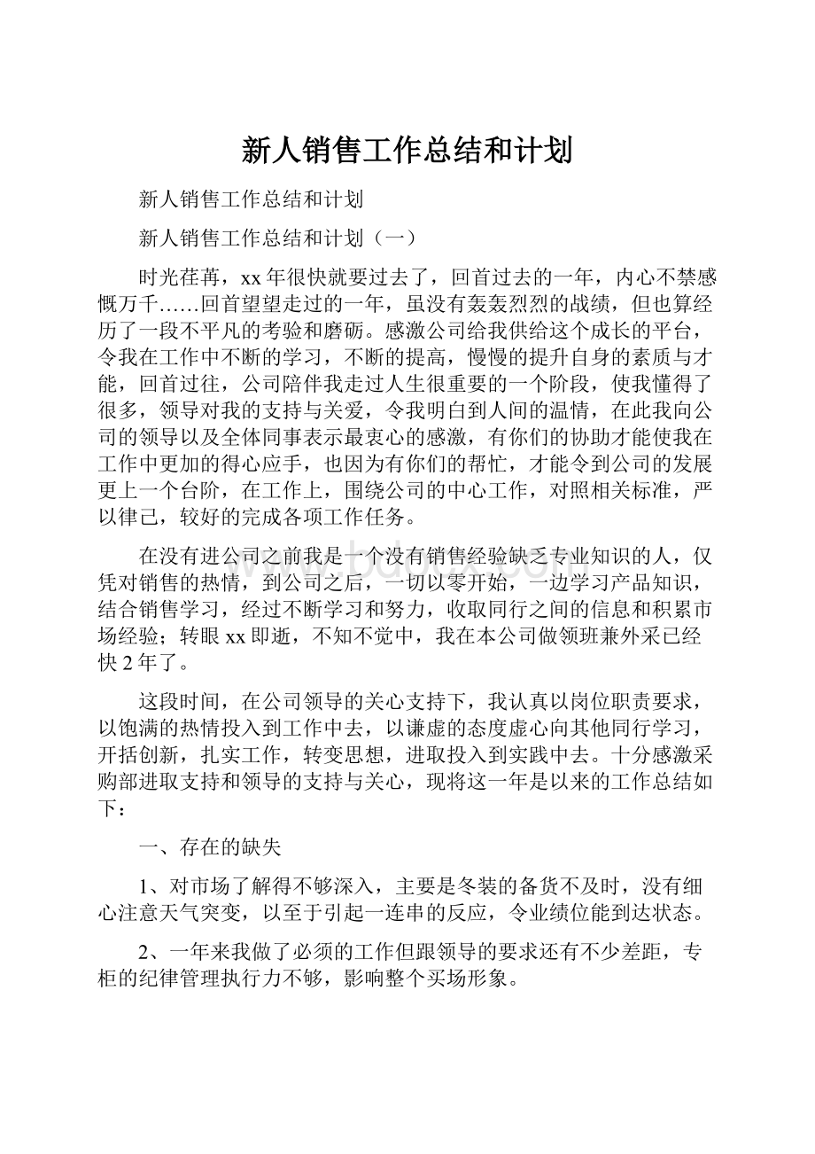 新人销售工作总结和计划.docx