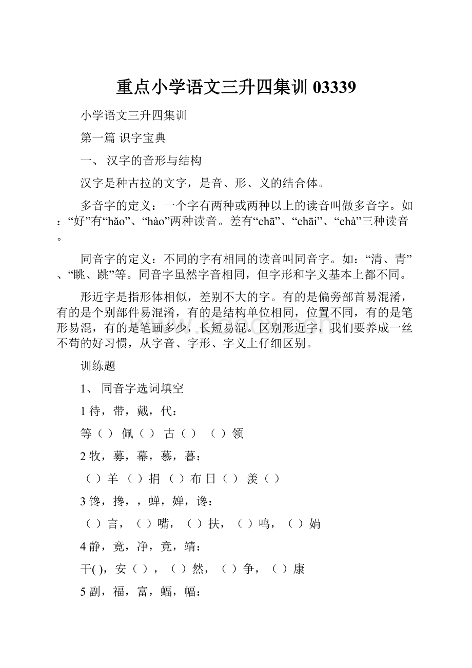 重点小学语文三升四集训03339.docx