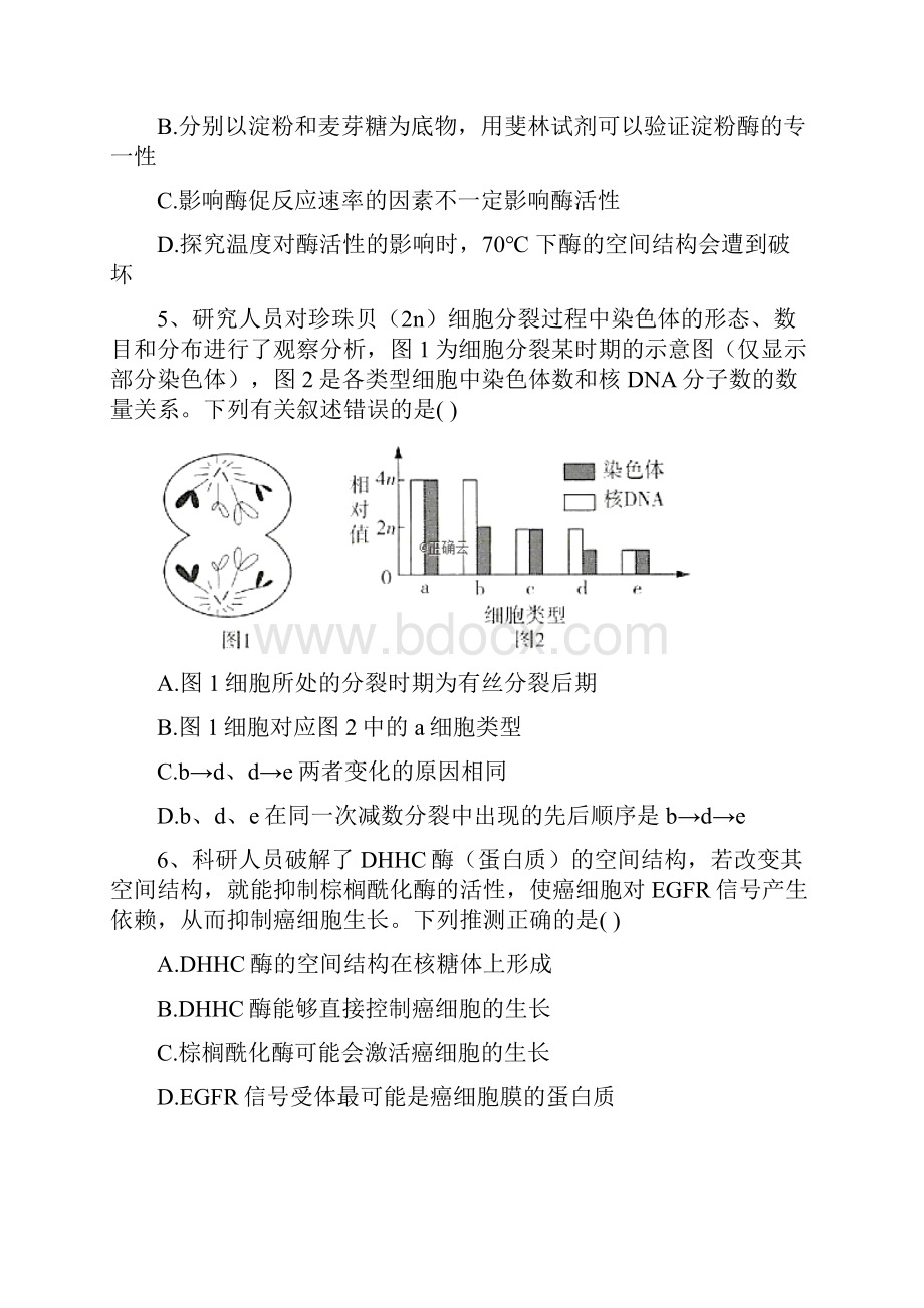 届新高考生物模拟仿真卷 2.docx_第2页