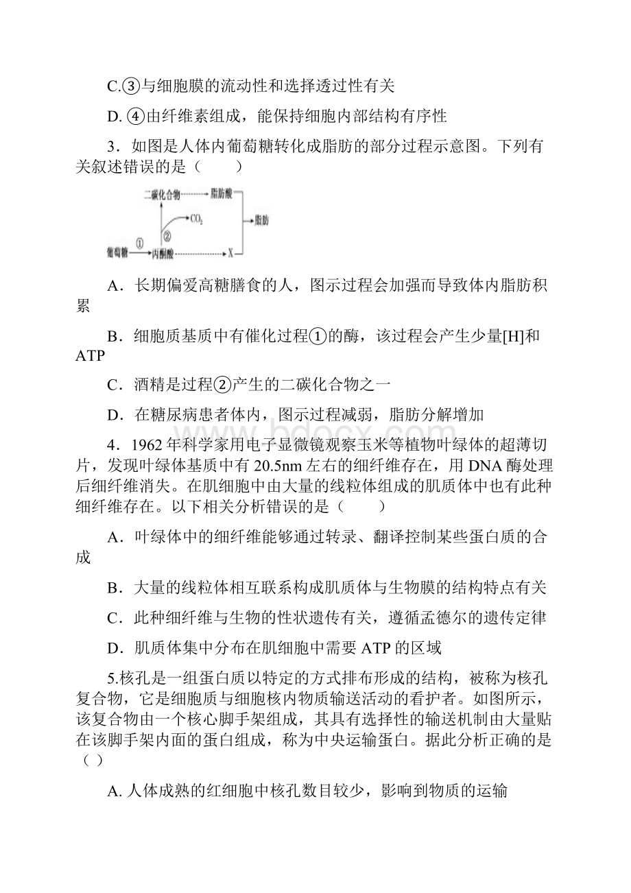 山东省济南市历城第二中学届高三月考理科综合生物试题.docx_第2页