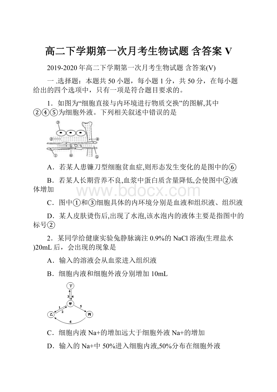 高二下学期第一次月考生物试题 含答案V.docx