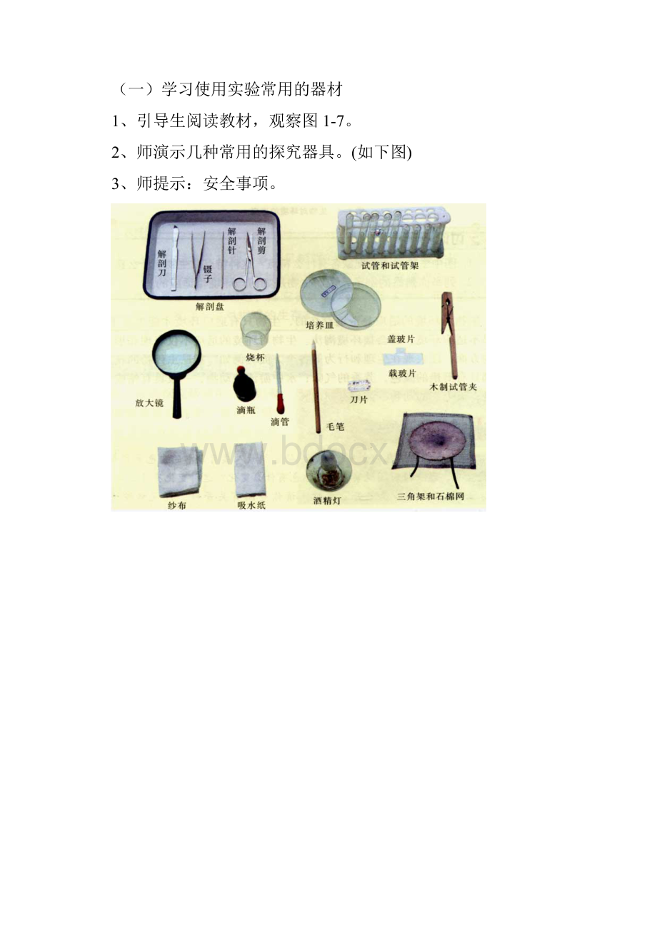 七年级生物科学探究的基本方法8.docx_第2页