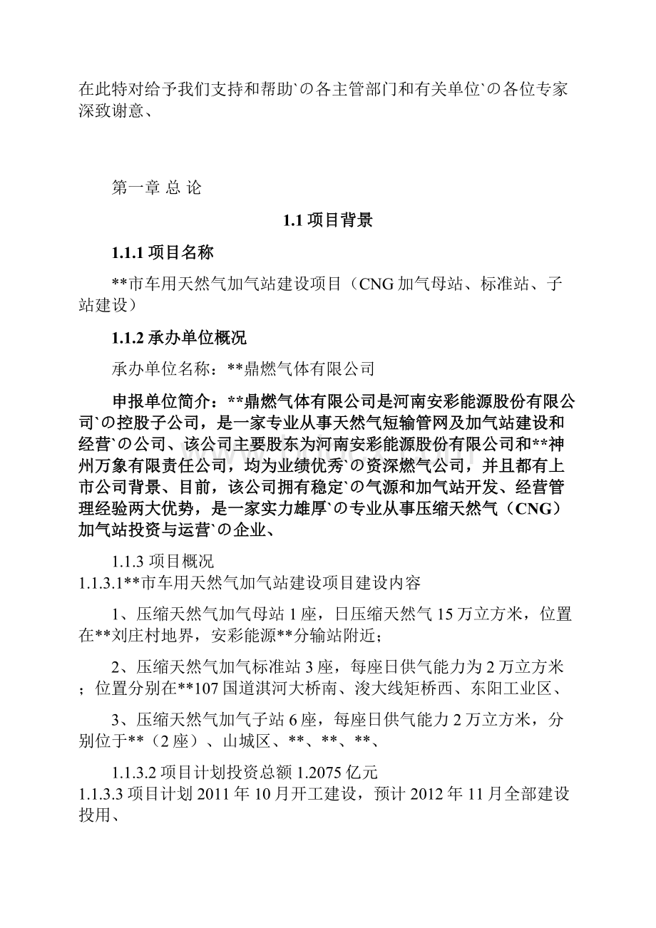 新能源车用天然气加气站投资建设项目可行性研究报告.docx_第2页