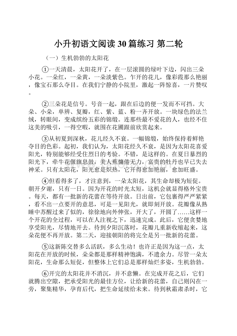 小升初语文阅读30篇练习 第二轮.docx