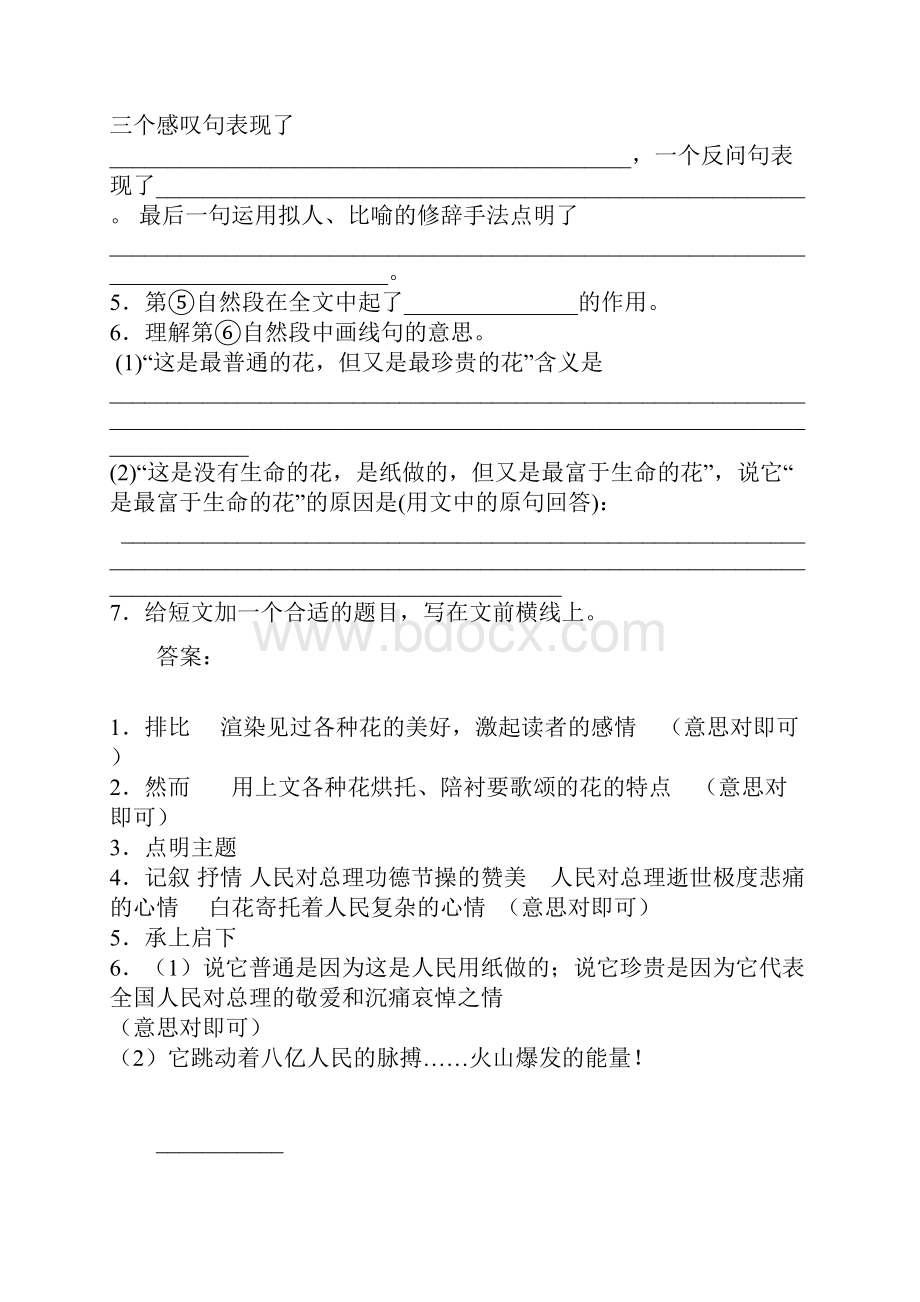 我见过雍容华丽的牡丹.docx_第2页