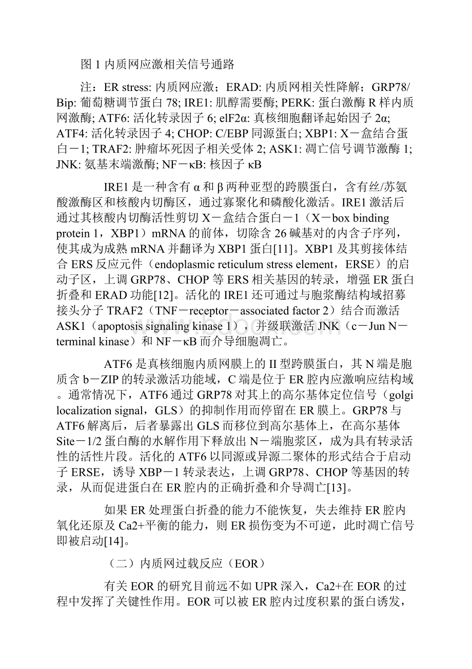 内质网应激与心房颤动全文.docx_第3页