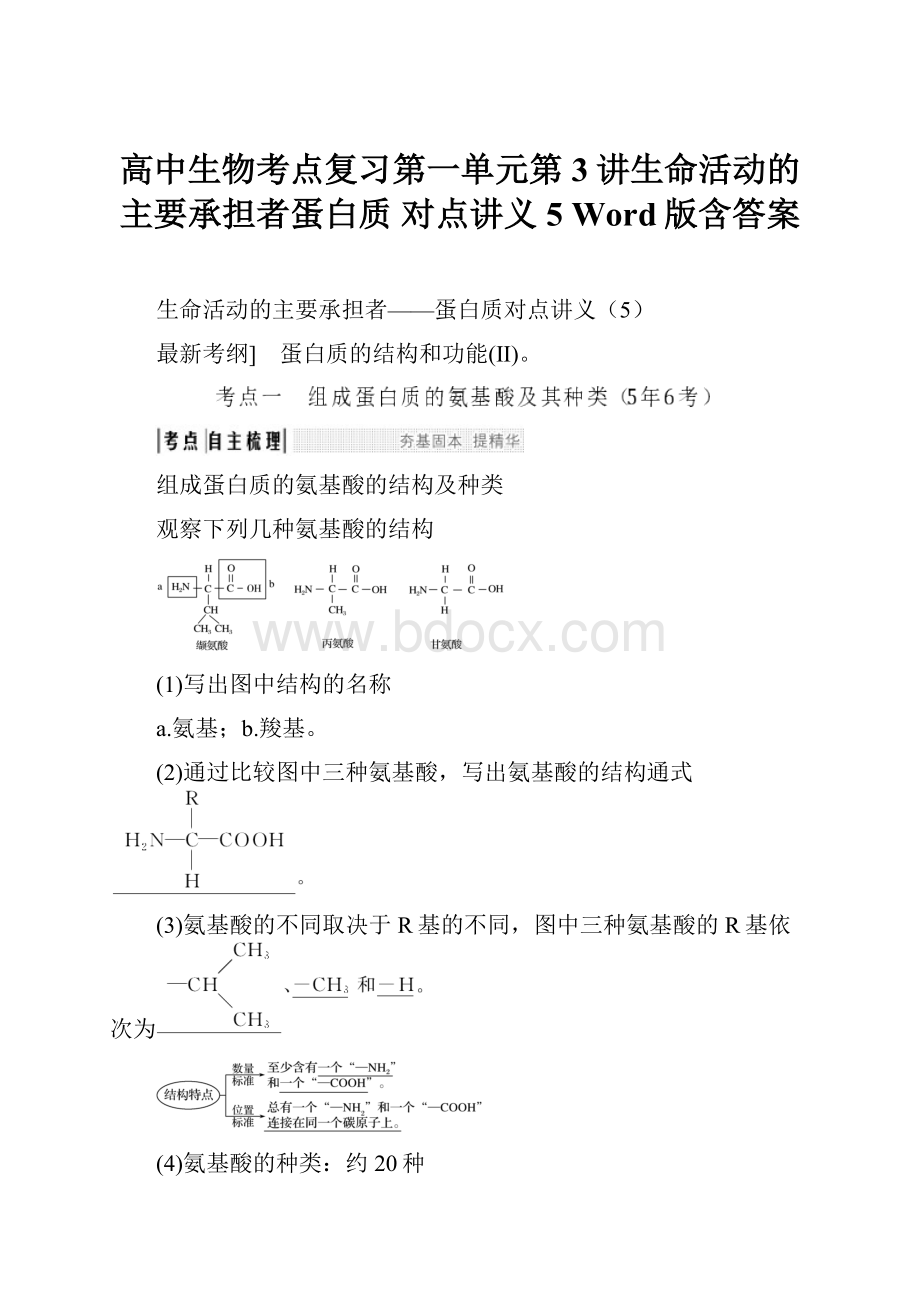 高中生物考点复习第一单元第3讲生命活动的主要承担者蛋白质 对点讲义5 Word版含答案.docx