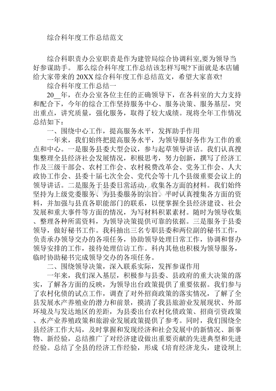 综合科年度工作总结范文.docx_第2页