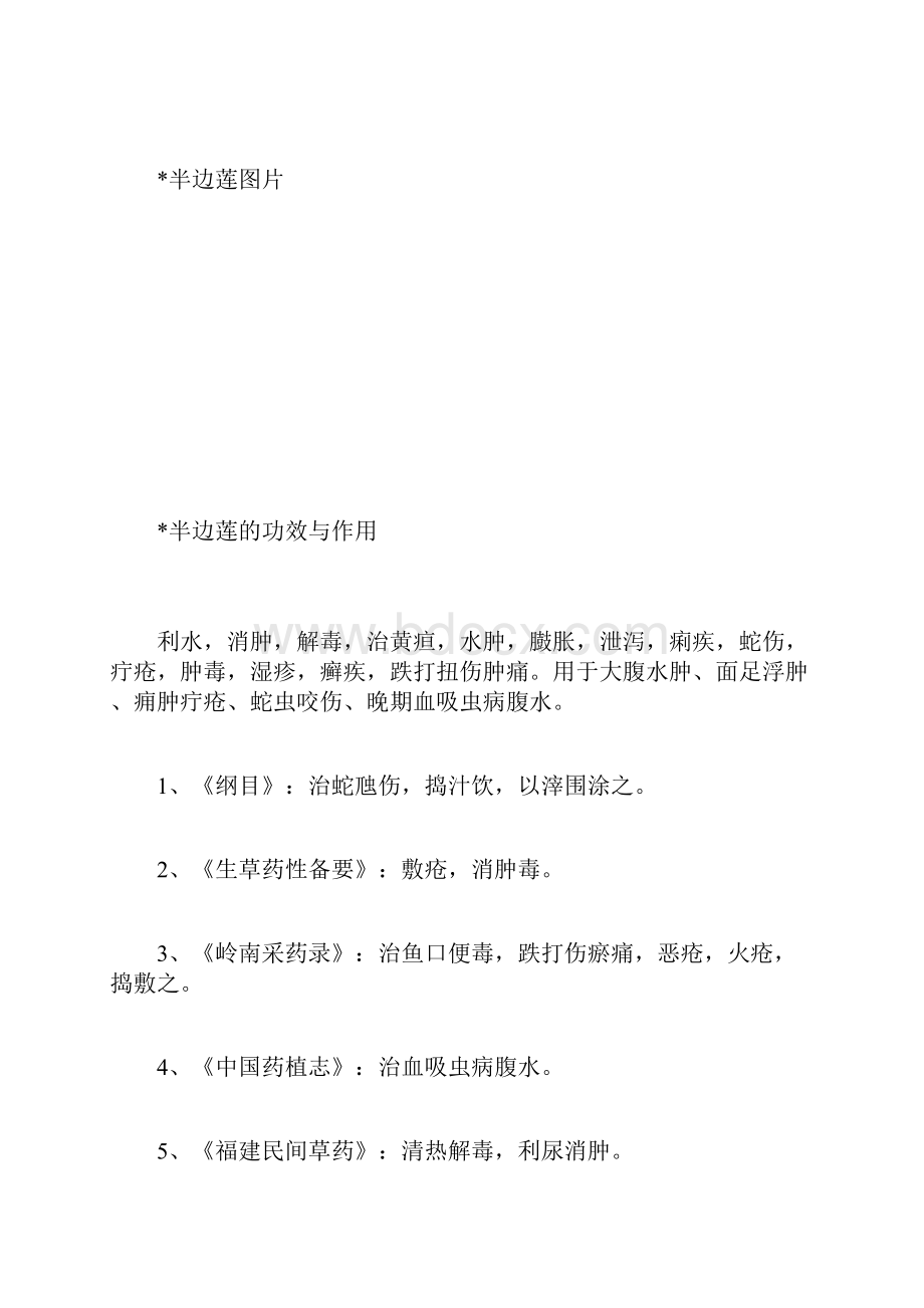 半边莲的功效与作用半边莲的药用价值.docx_第2页