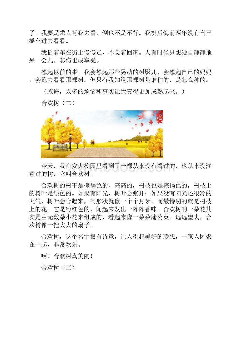 合欢树共10篇.docx_第3页