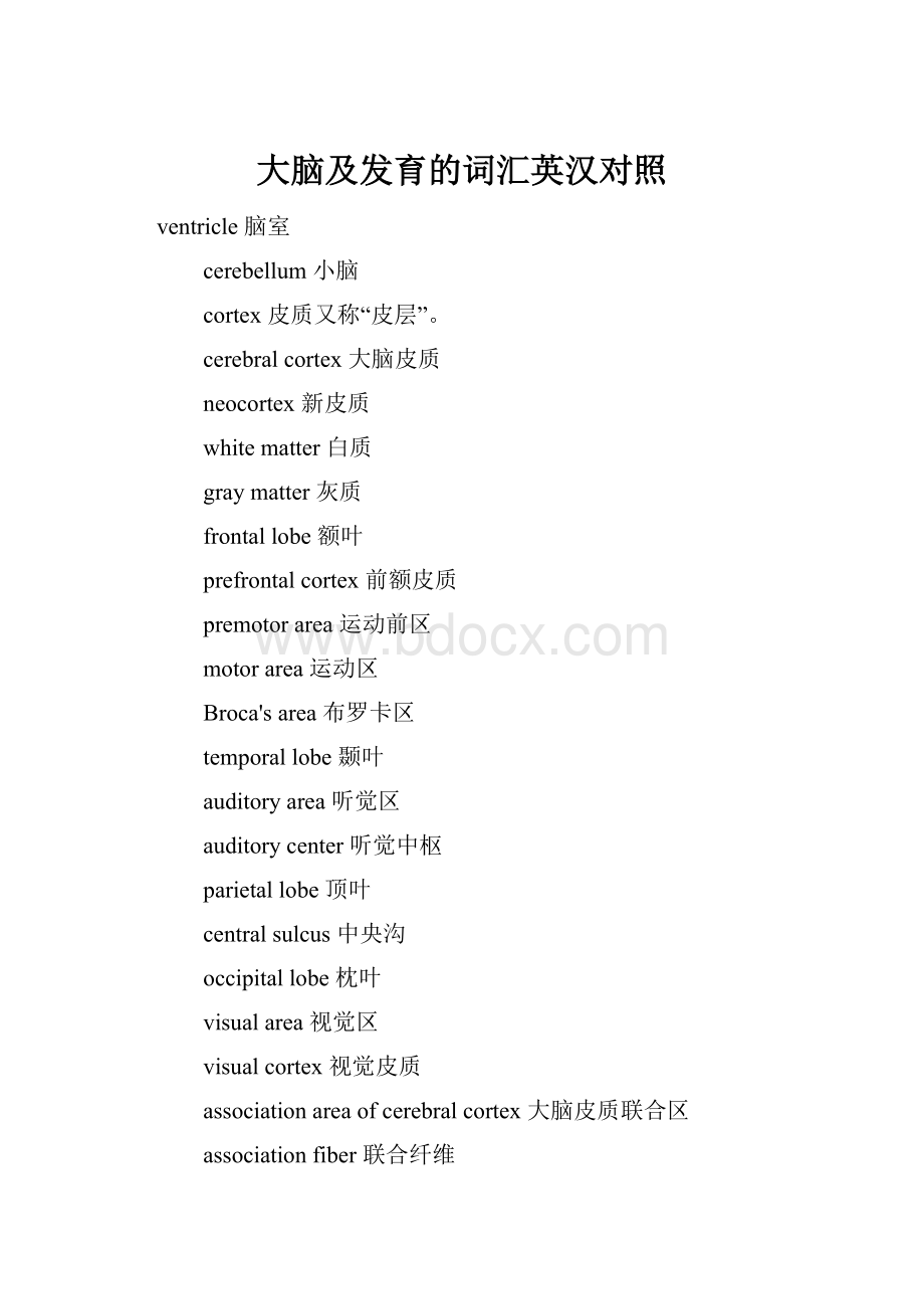 大脑及发育的词汇英汉对照.docx