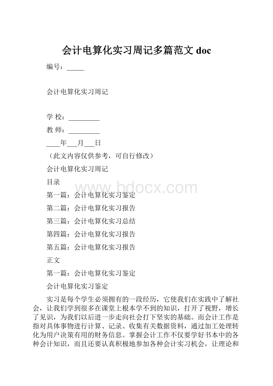 会计电算化实习周记多篇范文doc.docx