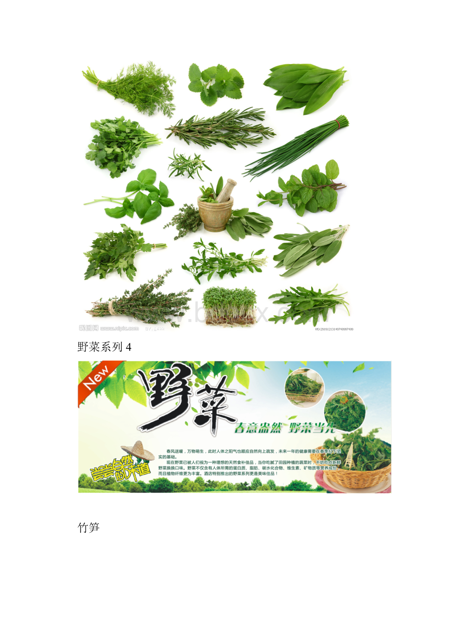 可食用的野菜0502.docx_第3页