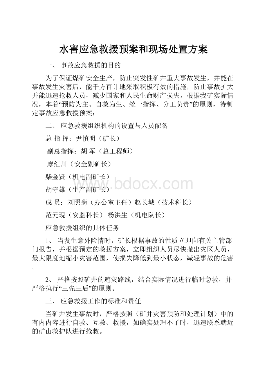 水害应急救援预案和现场处置方案.docx