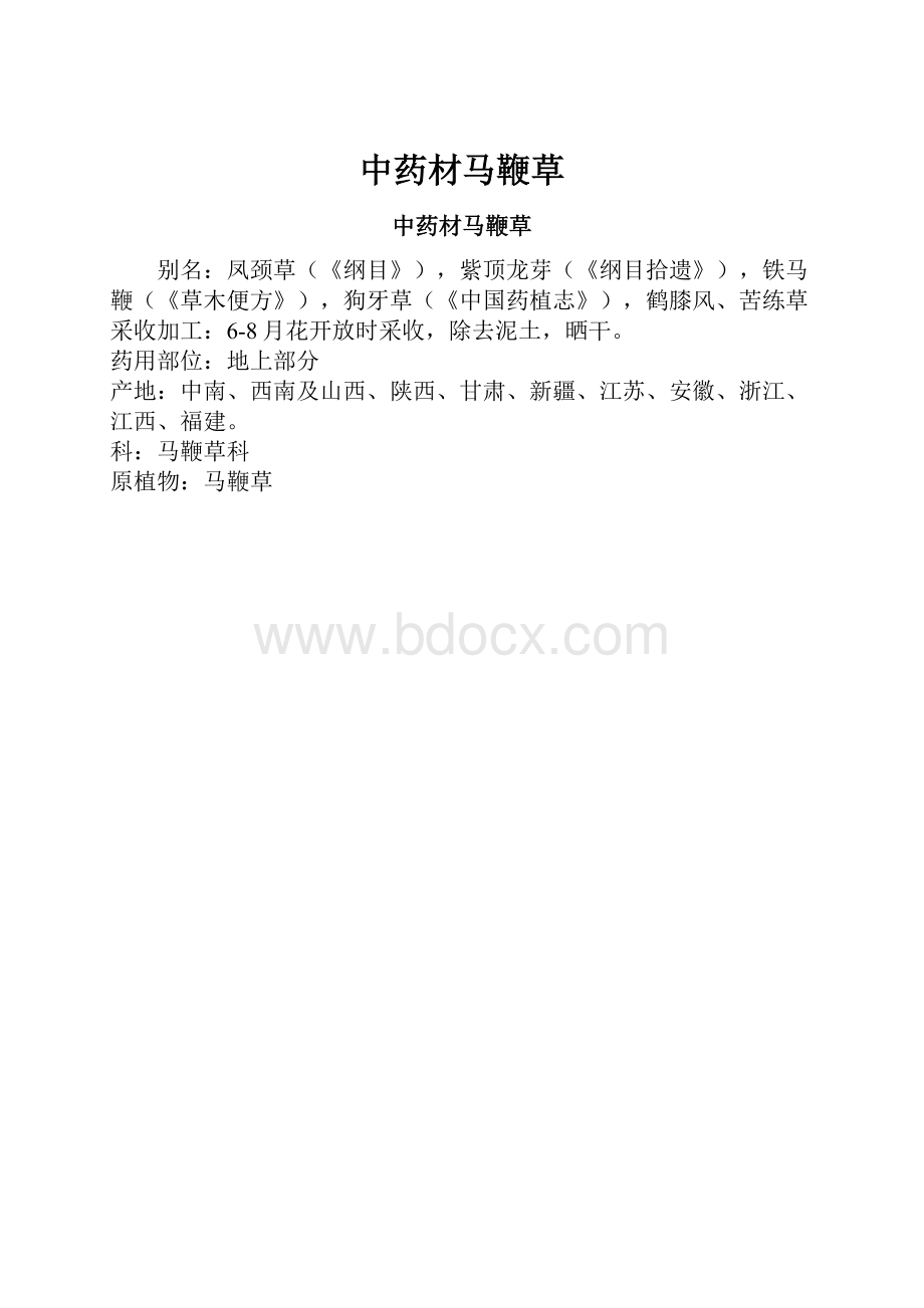 中药材马鞭草.docx