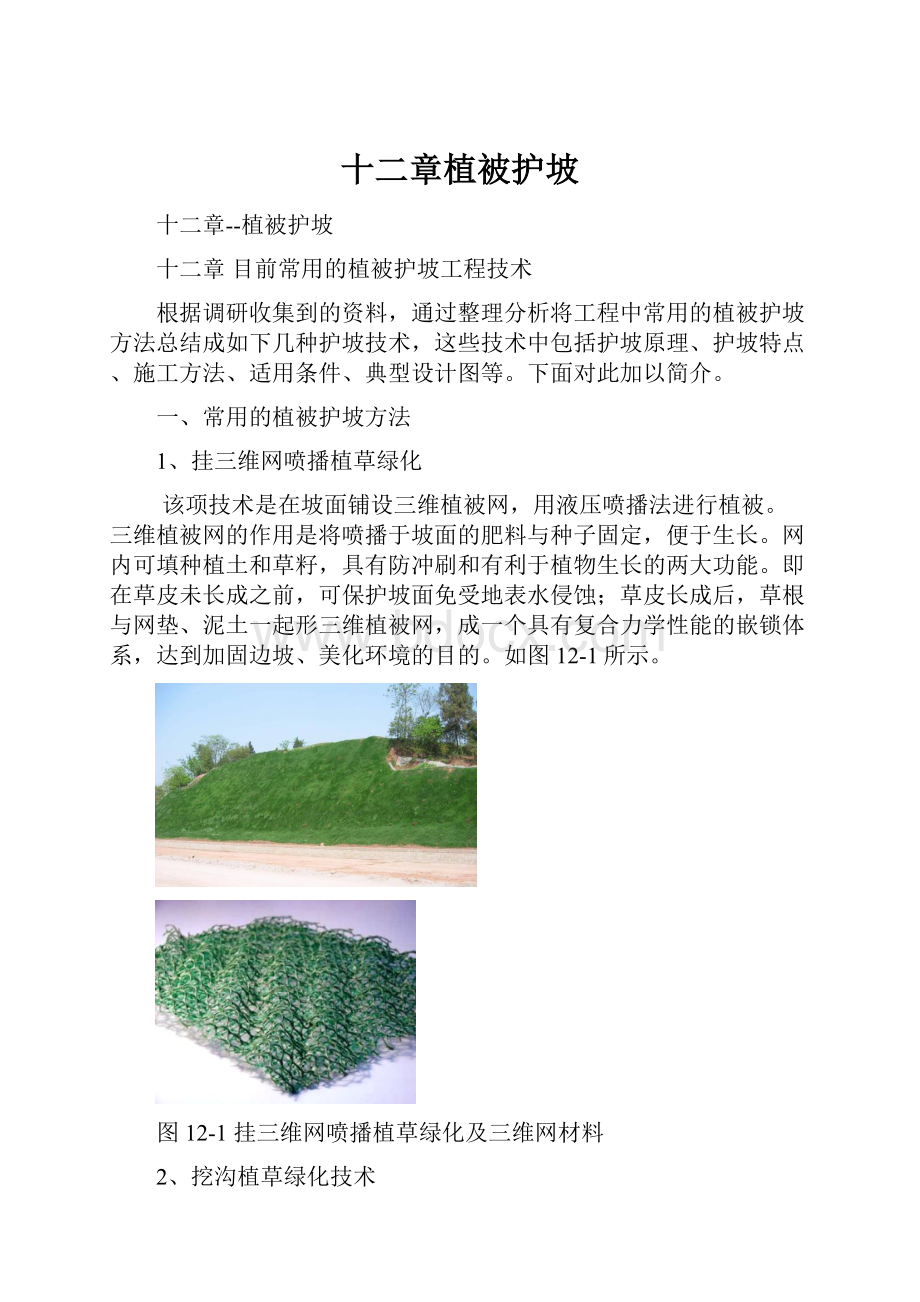 十二章植被护坡.docx