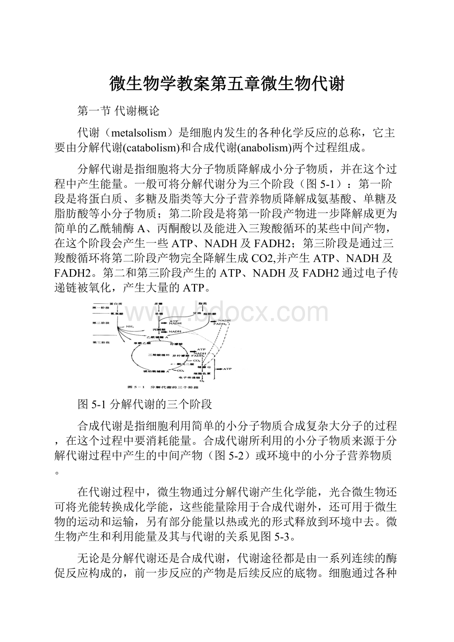 微生物学教案第五章微生物代谢.docx_第1页