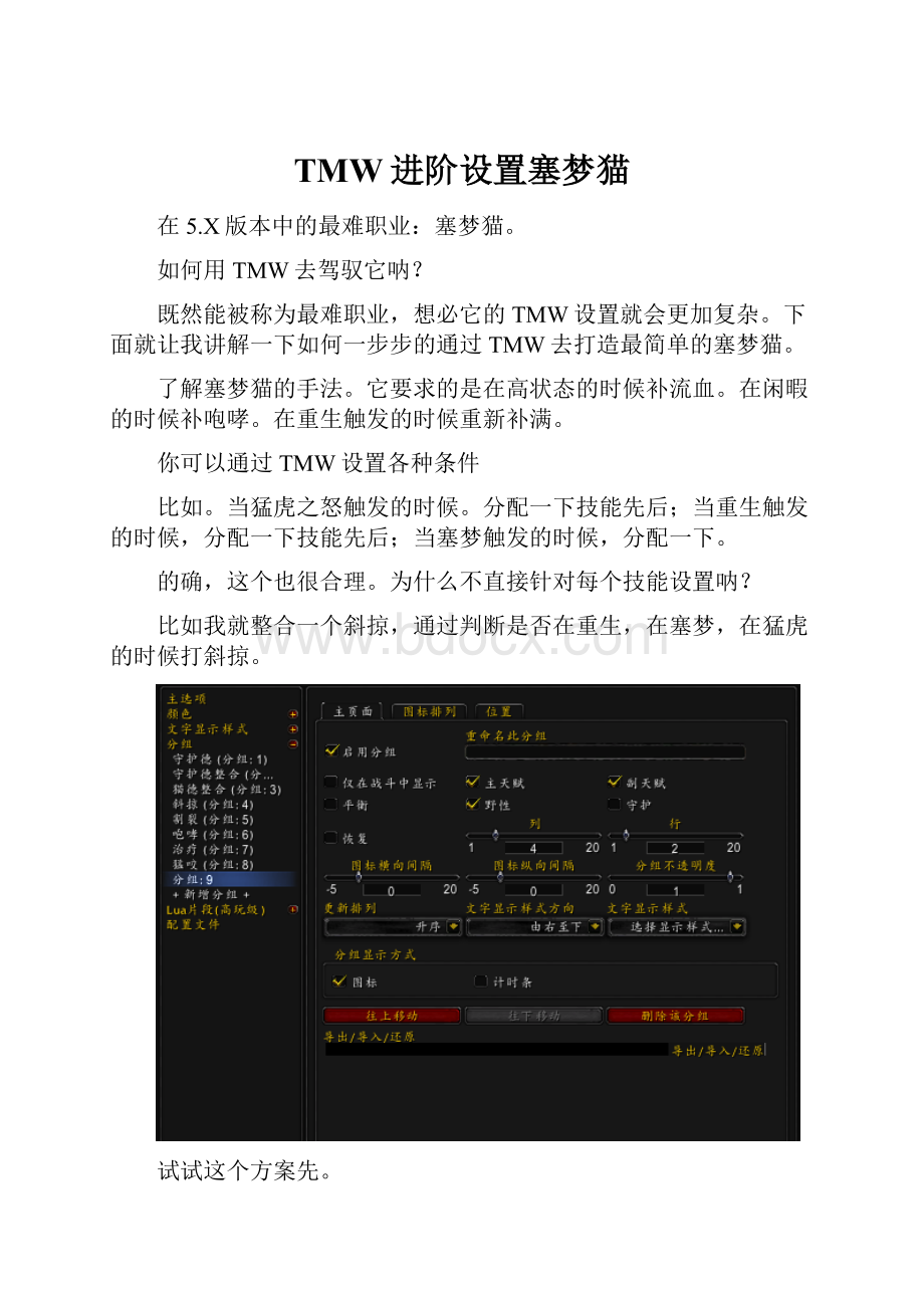 TMW进阶设置塞梦猫.docx_第1页