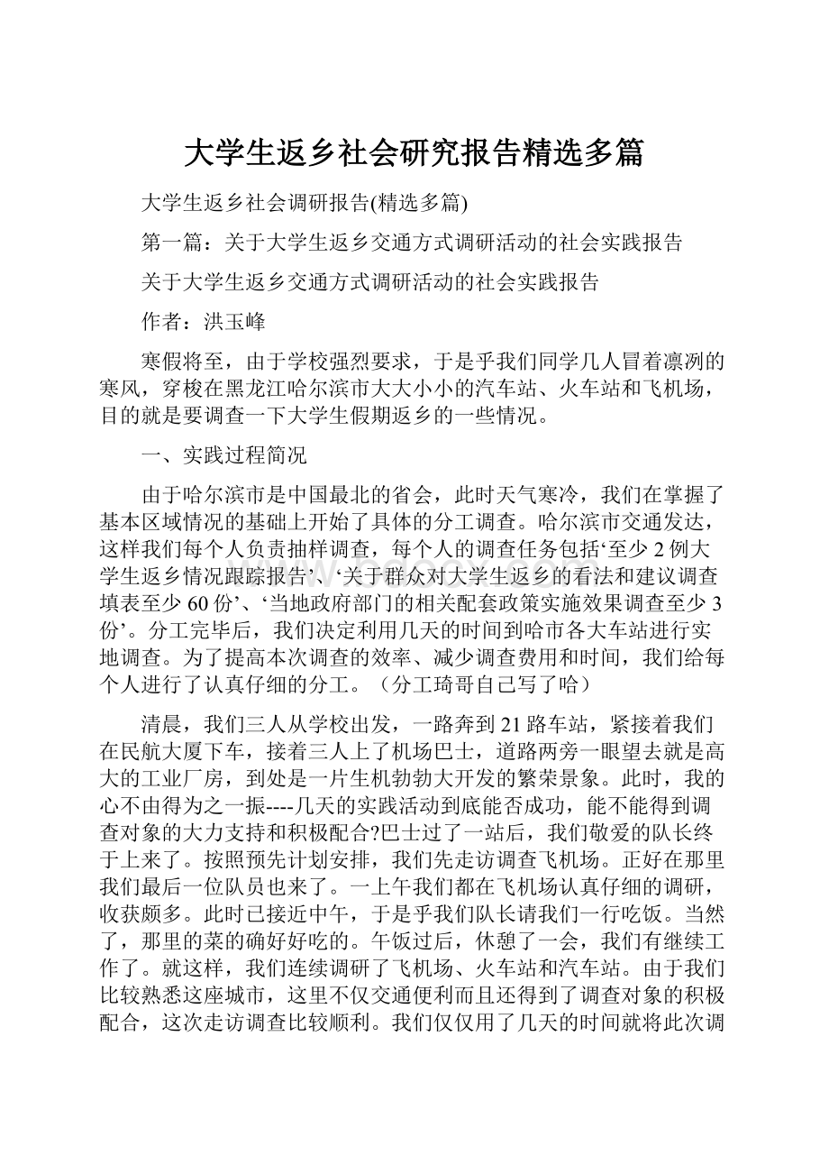 大学生返乡社会研究报告精选多篇.docx