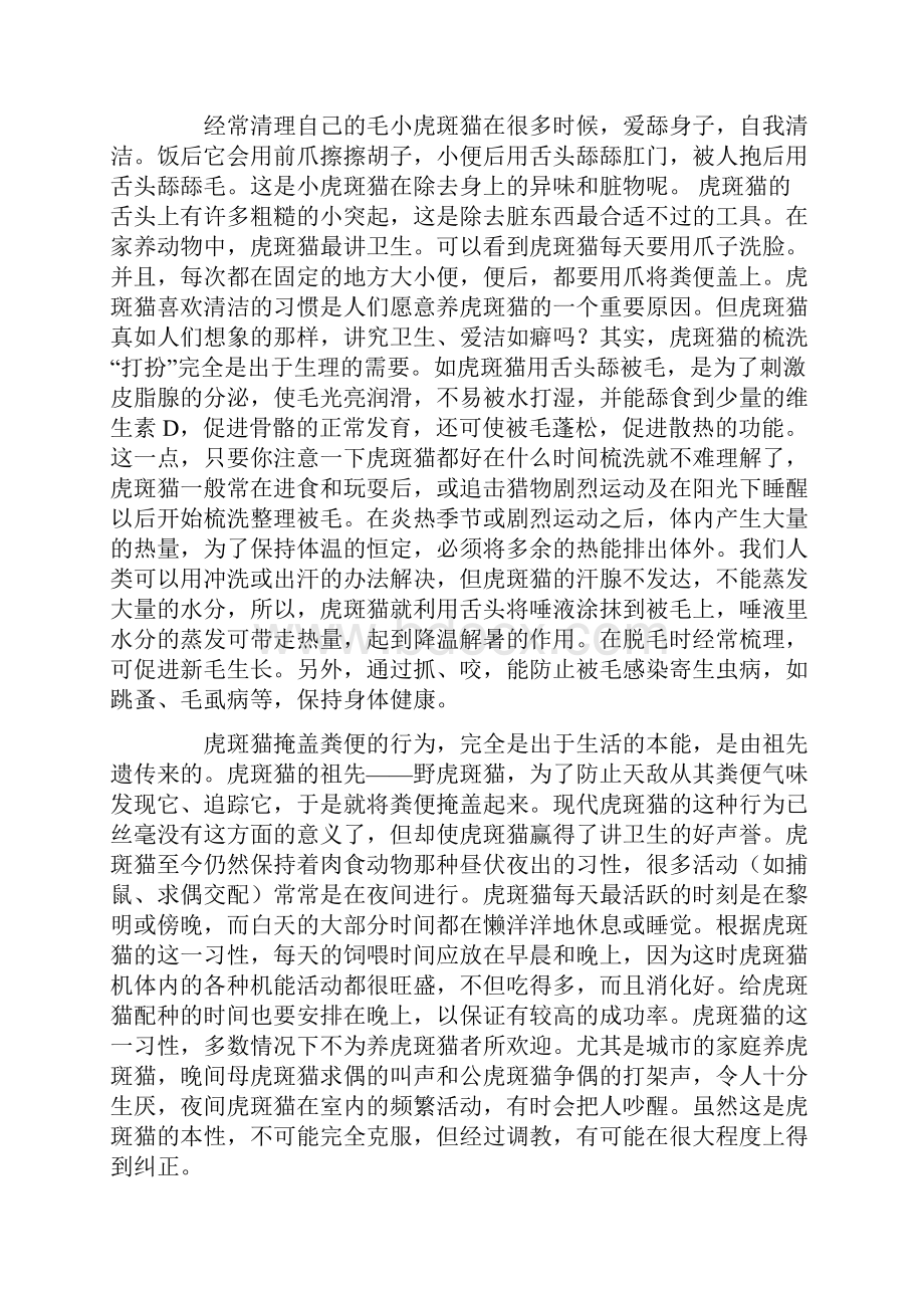 美短虎斑猫的习性及饲养方法.docx_第2页