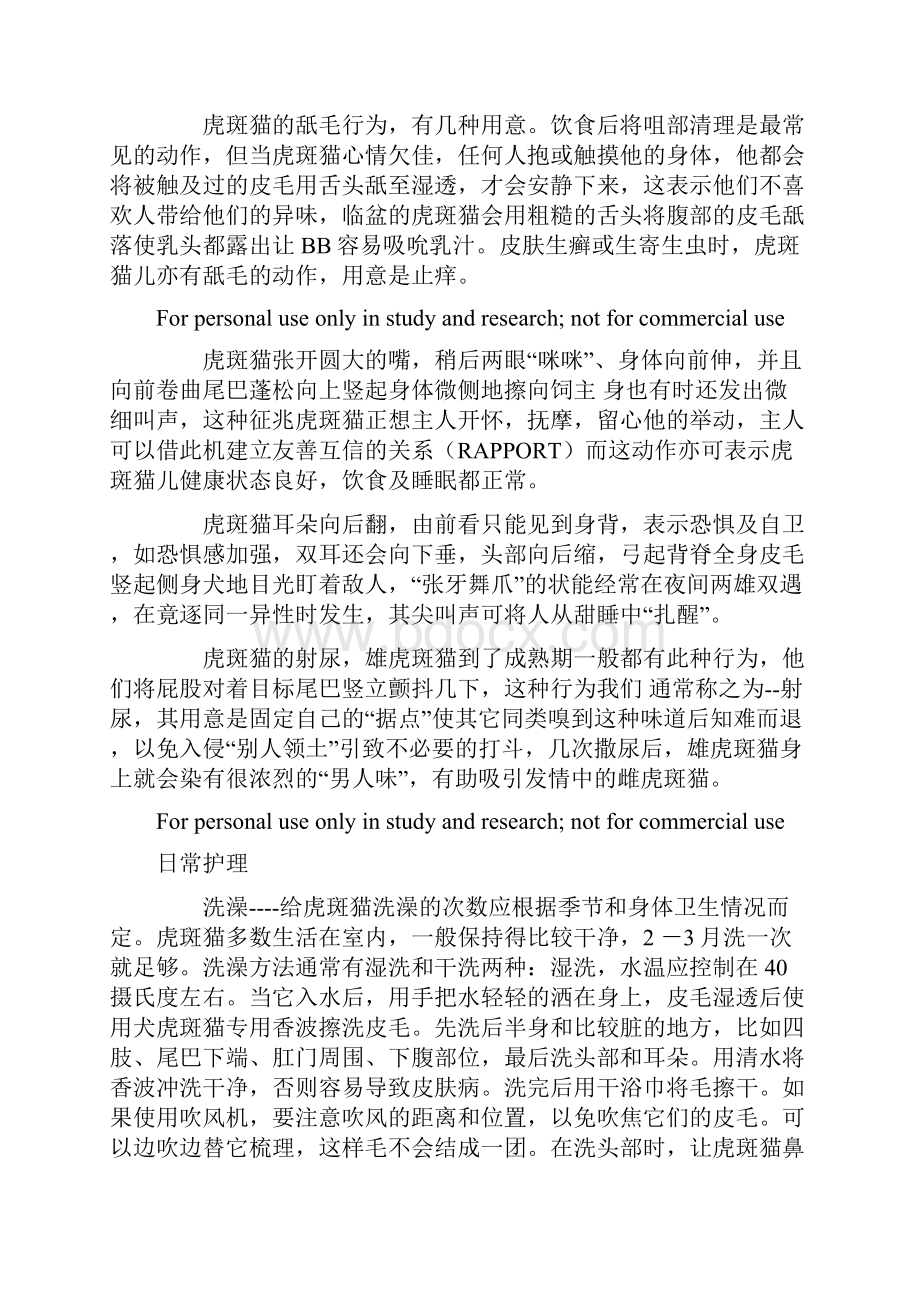 美短虎斑猫的习性及饲养方法.docx_第3页